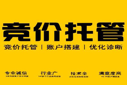 竞价广告的魔力：看XX公司如何逆袭市场
